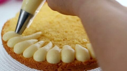 Decorare-la-torta-mimosa